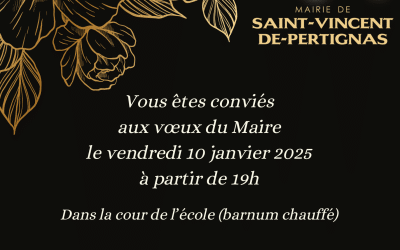 Voeux 2025